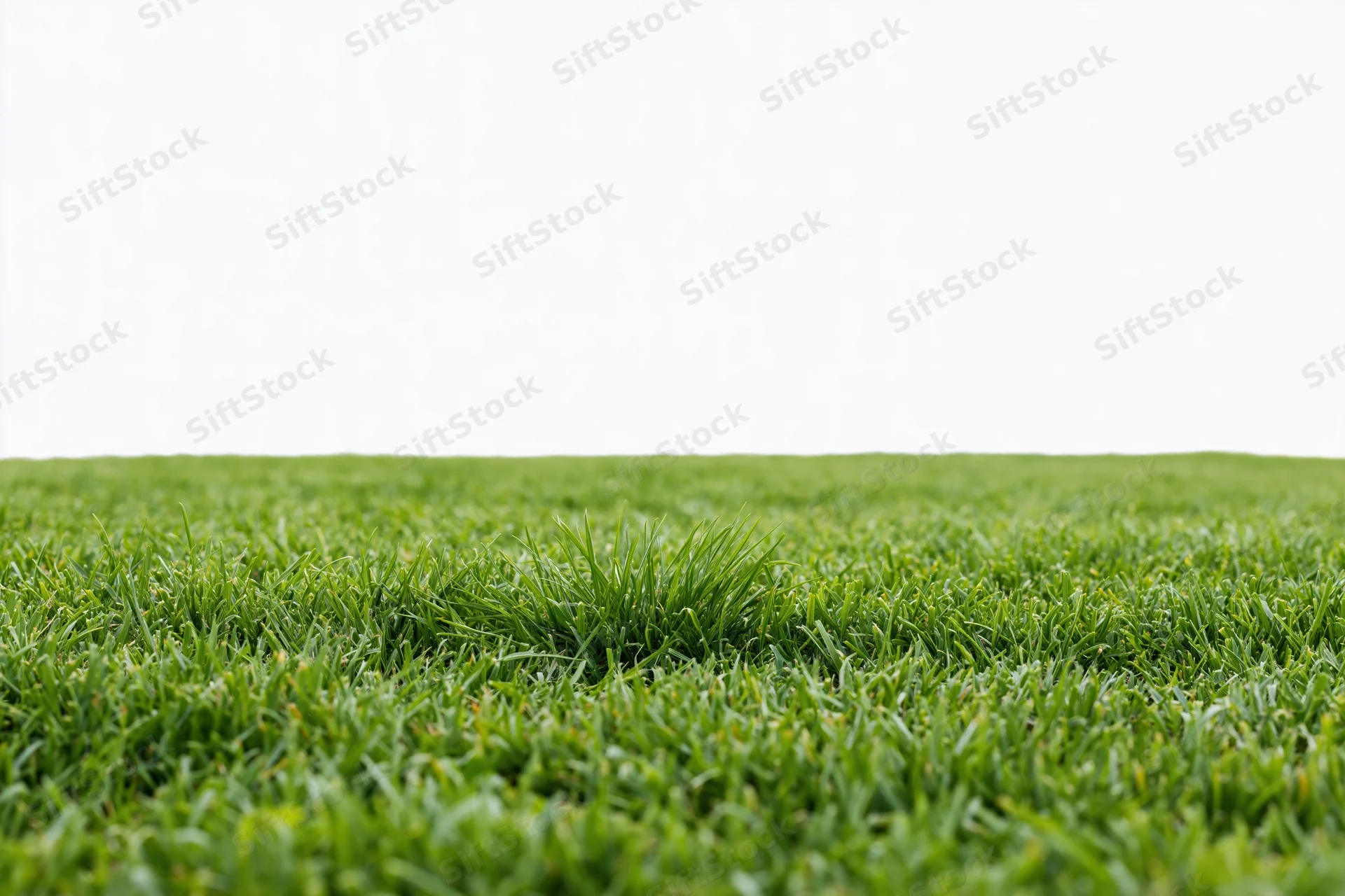 Close-up ground-level view of a flat green grass field stretching to a white horizon