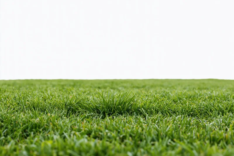 Close-up ground-level view of a flat green grass field stretching to a white horizon