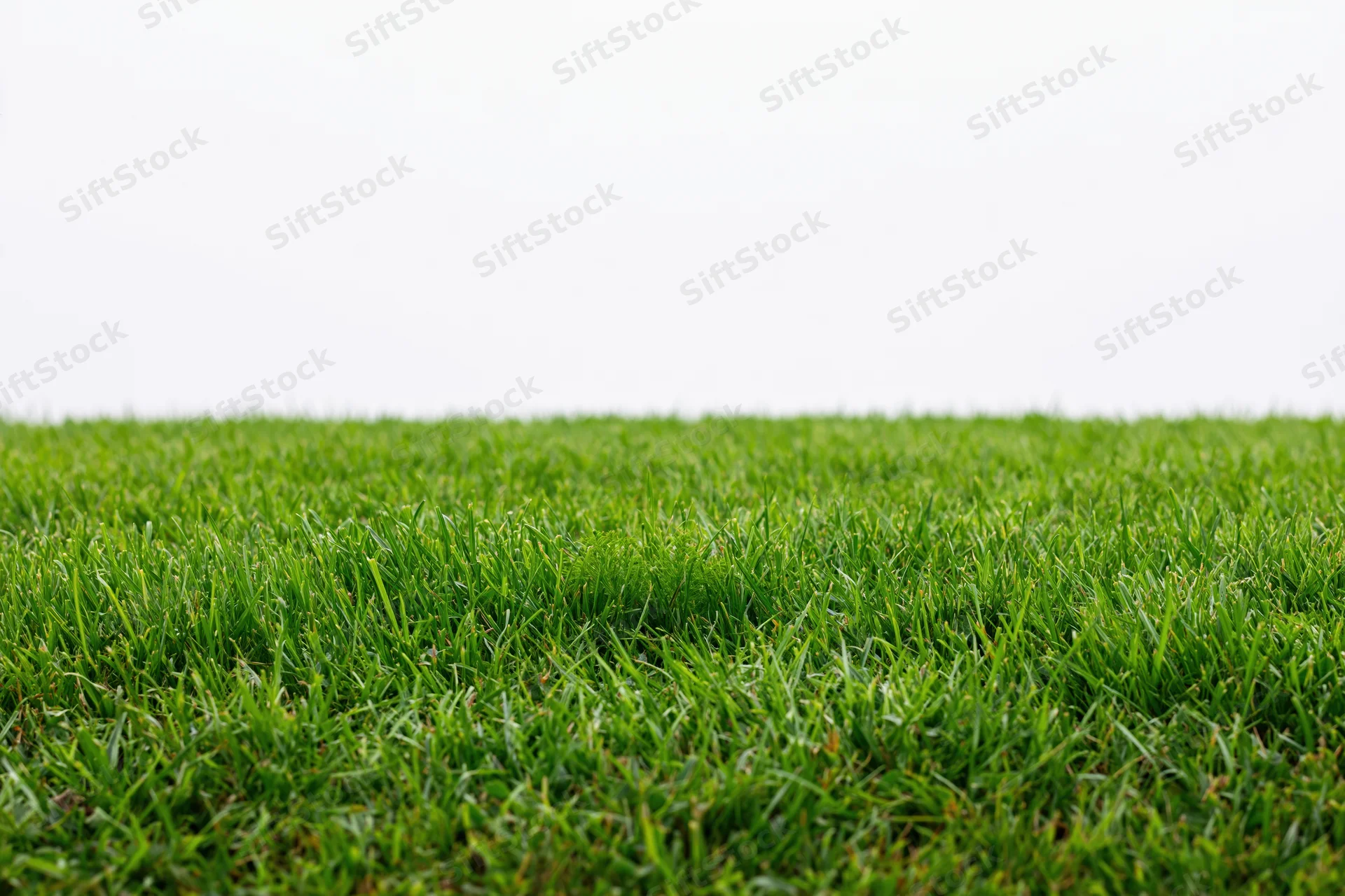 Close-up ground-level view of a flat green grass field stretching into the distance