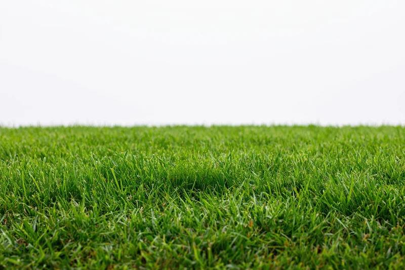 Close-up ground-level view of a flat green grass field stretching into the distance
