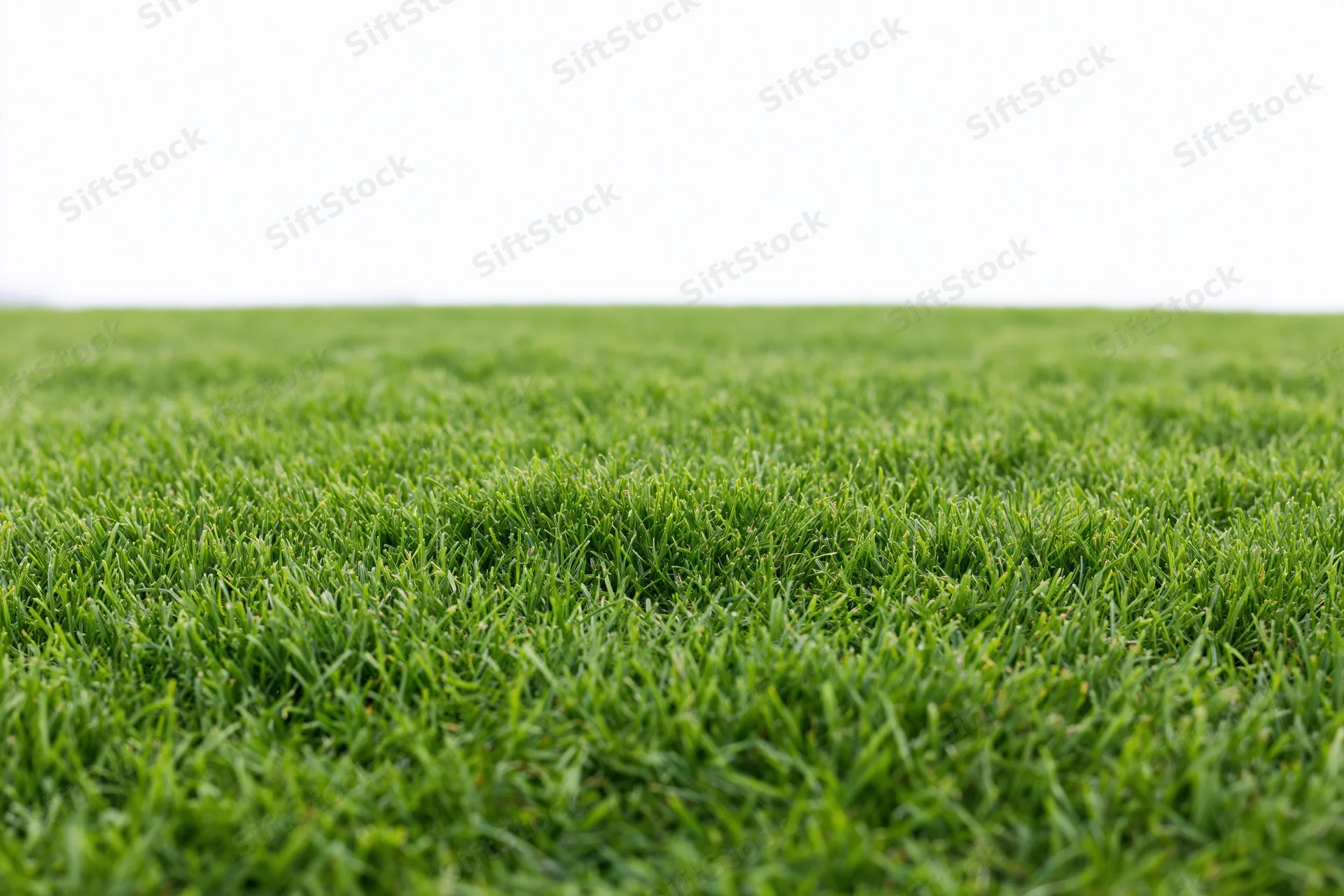 Close-up ground-level view of a flat green grass field stretching into the distance
