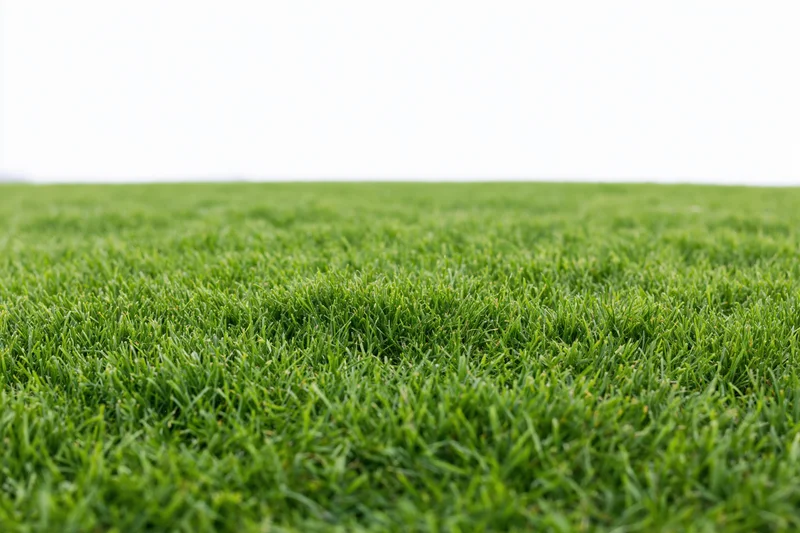 Close-up ground-level view of a flat green grass field stretching into the distance