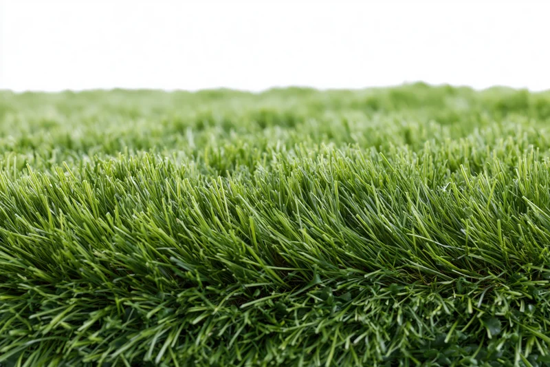 Dense neatly trimmed green grass viewed from low angle in outdoor setting