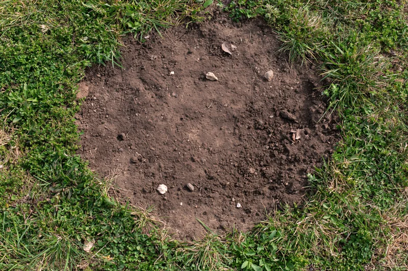 Bare dry soil patch surrounded by green grass in a lawn setting