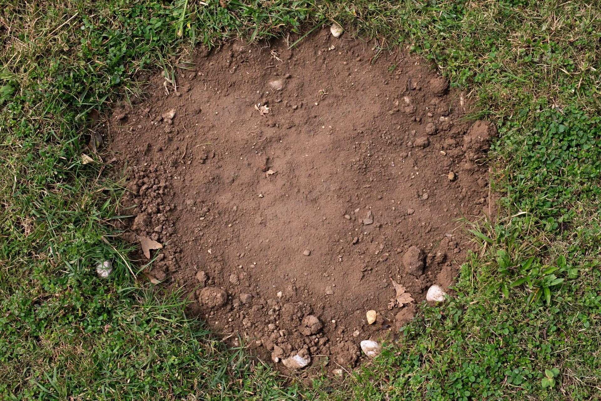 Bare dry soil patch surrounded by green grass in a lawn viewed from above