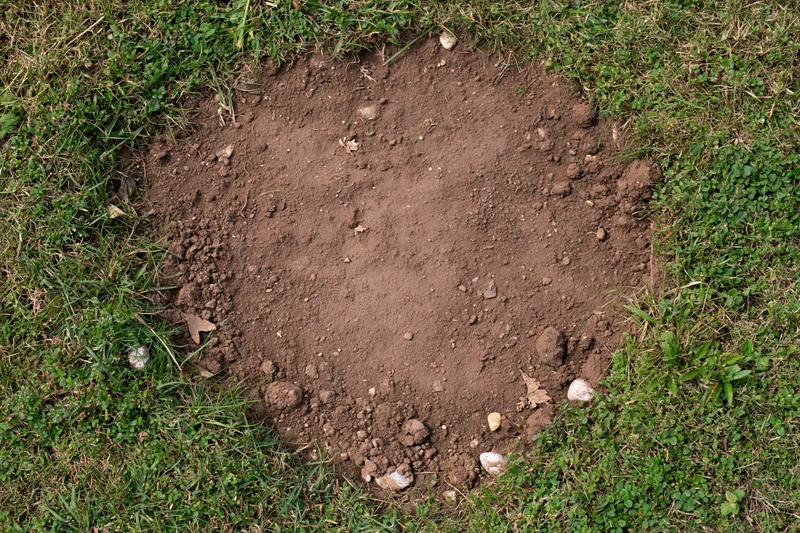Bare dry soil patch surrounded by green grass in a lawn viewed from above