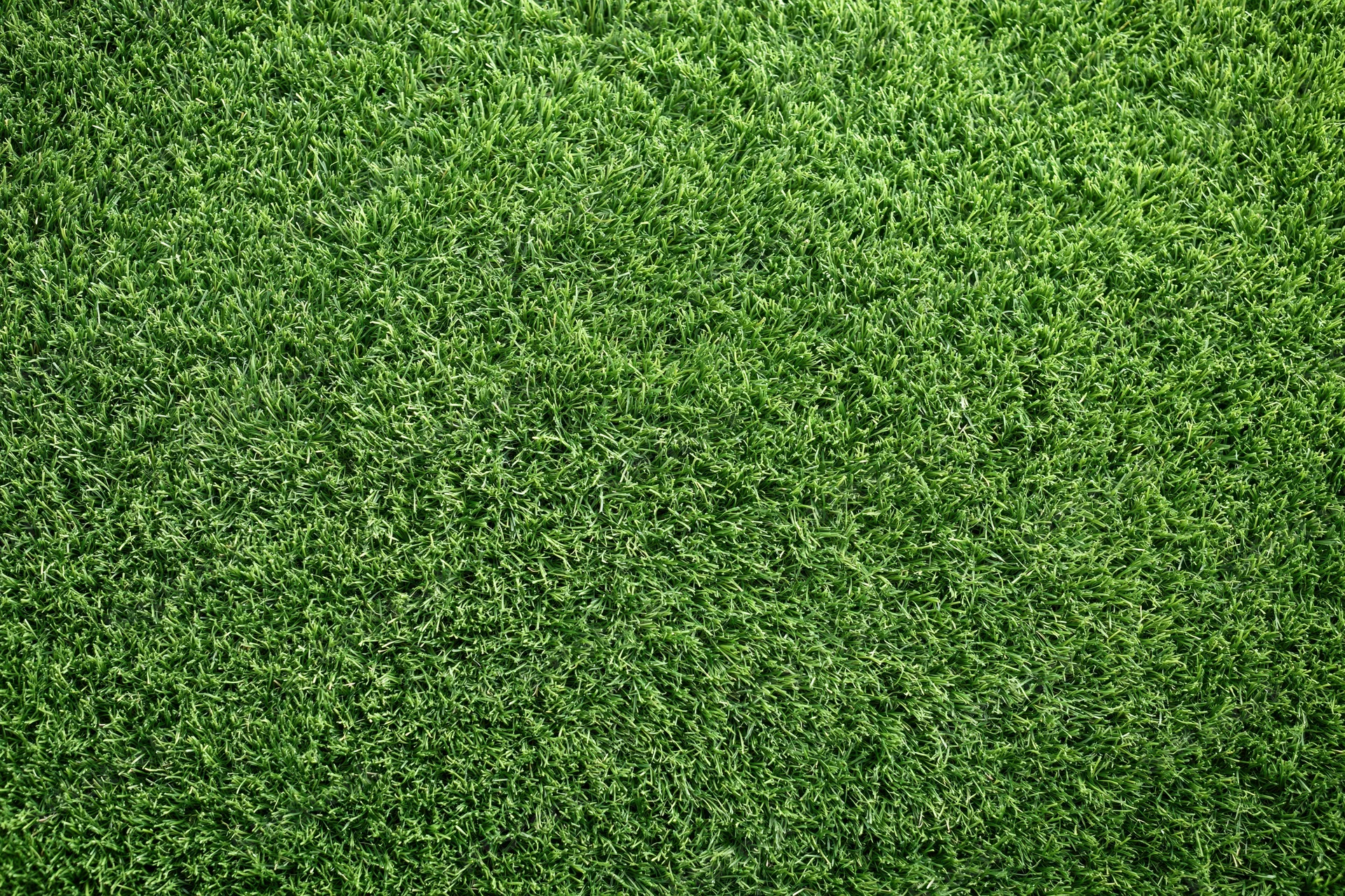 Dense uniformly trimmed grass viewed from overhead in a flat lay arrangement