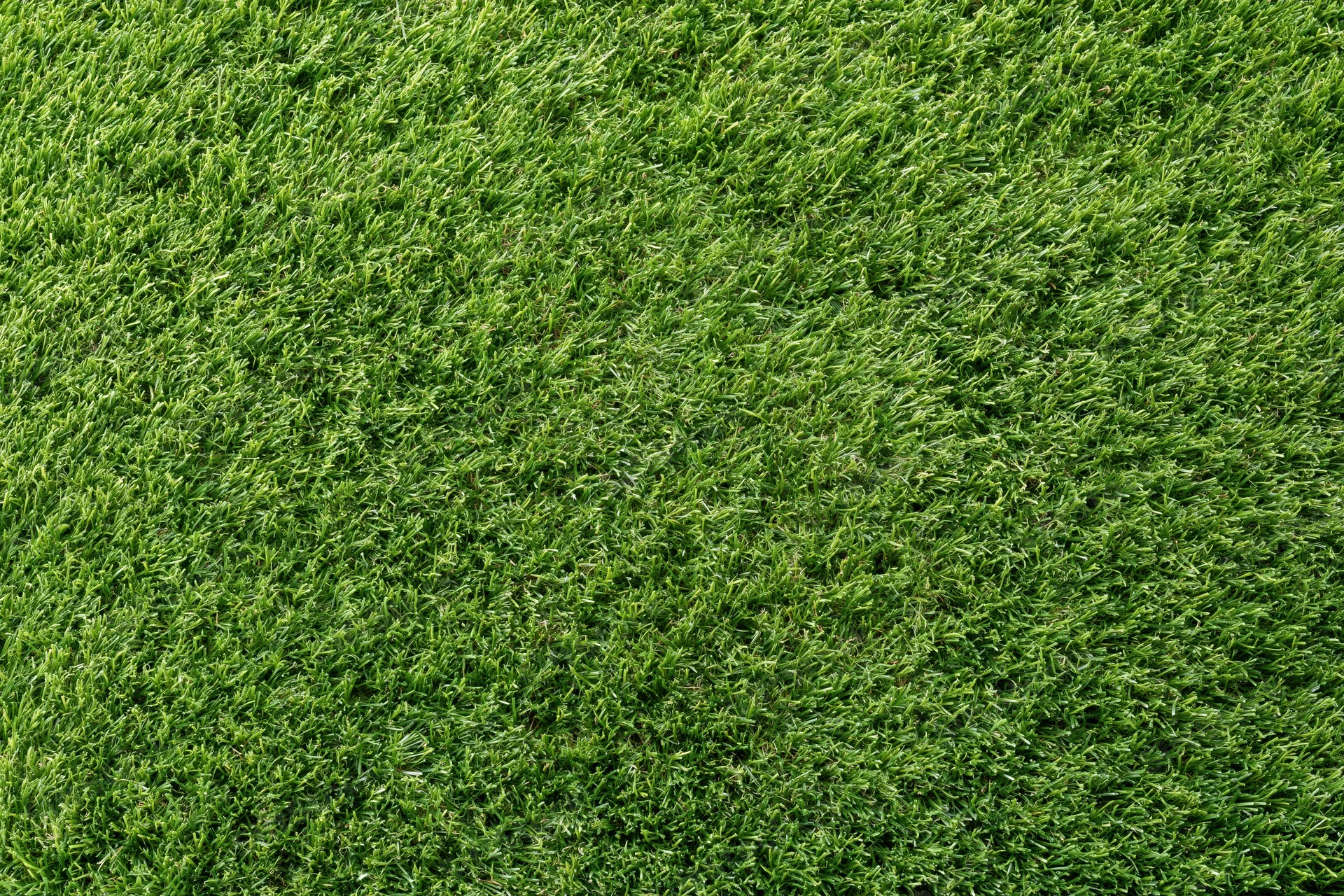 Dense uniformly trimmed grass viewed from overhead in a flat lay arrangement