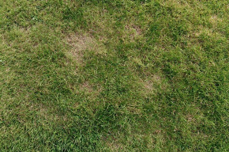 Short-mown grass lawn viewed from above filling the frame