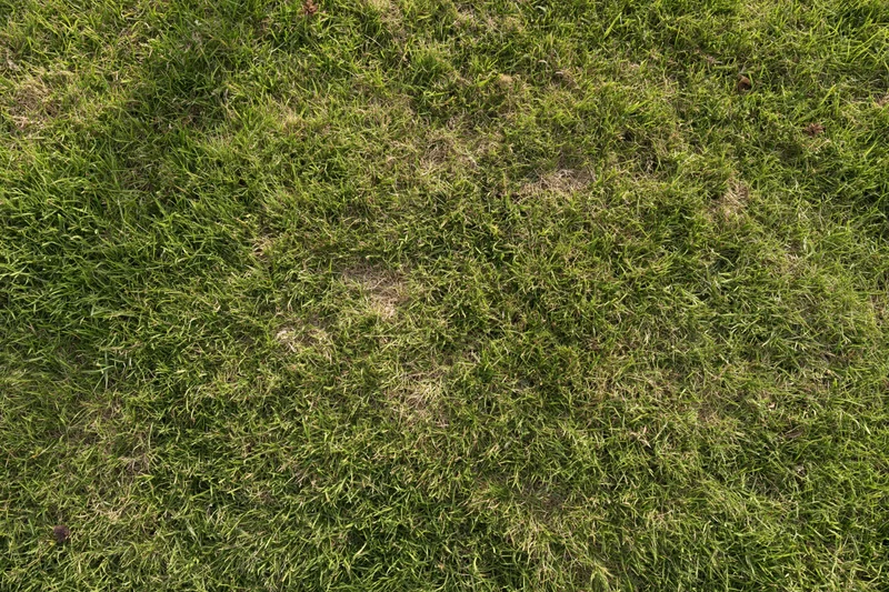 Short-mown green grass lawn viewed from above filling the frame