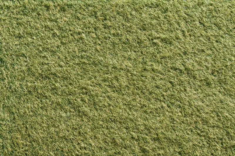 Short-mown grass lawn viewed from directly above filling the frame