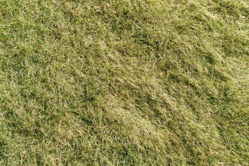 Short-mown grass lawn viewed from above filling the frame