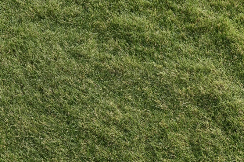 Short-mown grass lawn viewed from above filling the frame