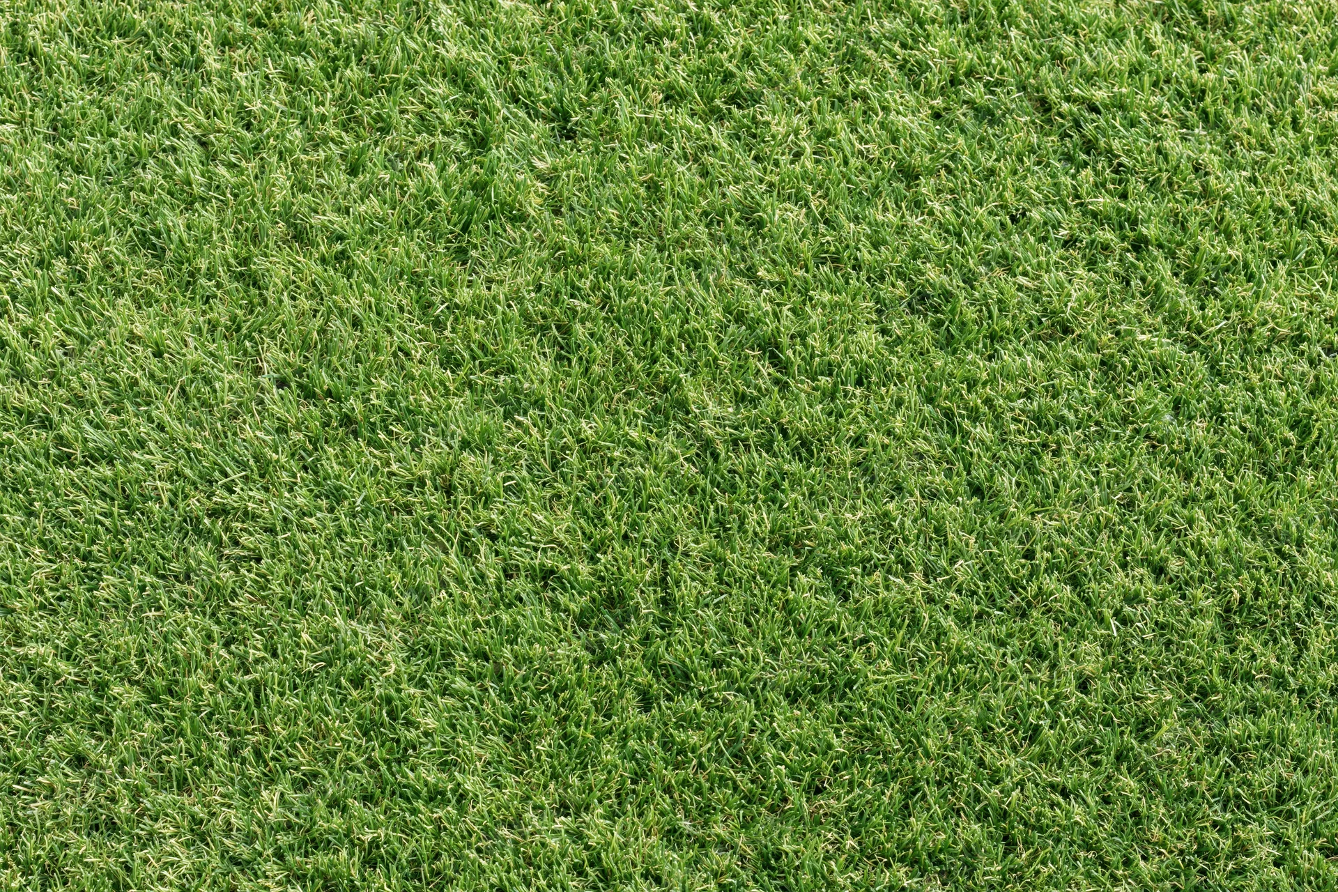 Close-up overhead view of uniformly mowed green grass lawn surface