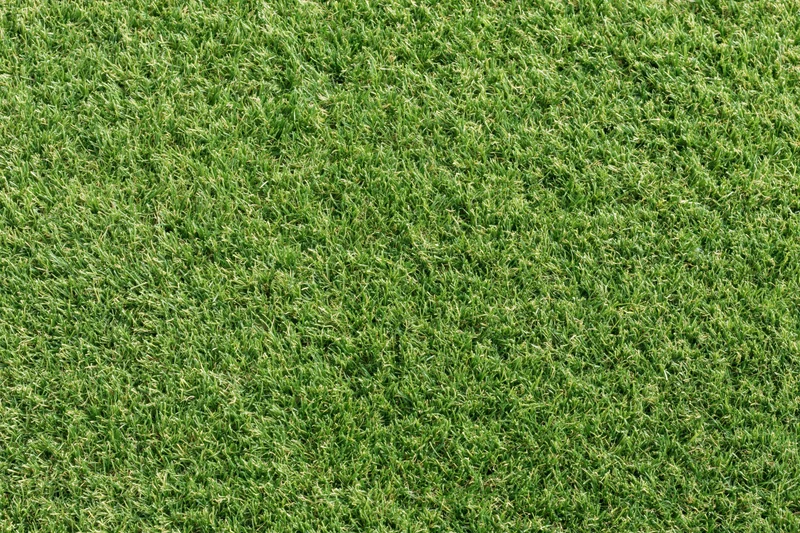 Close-up overhead view of uniformly mowed green grass lawn surface