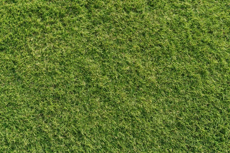 Close-up overhead view of a uniformly mowed green grass lawn