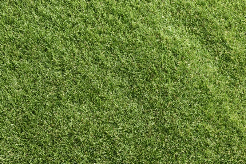 Close-up overhead view of uniformly mowed green grass lawn surface