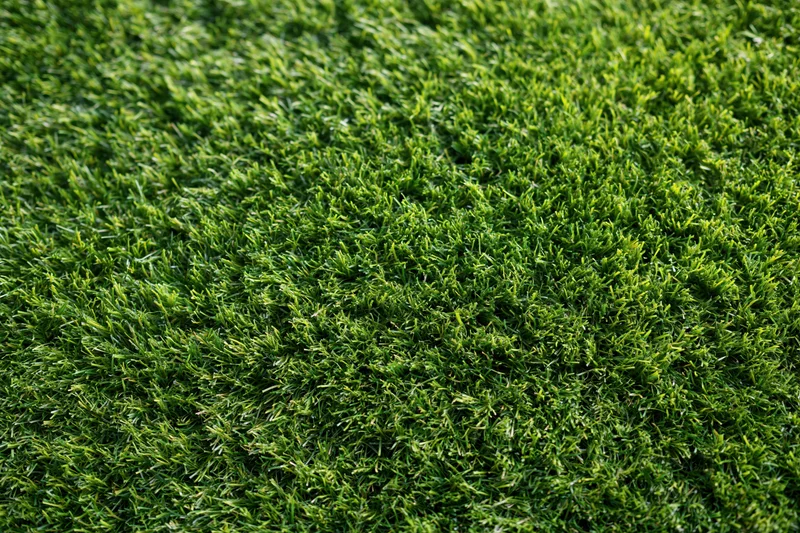 Dense artificial turf surface viewed from overhead in a flat lay arrangement