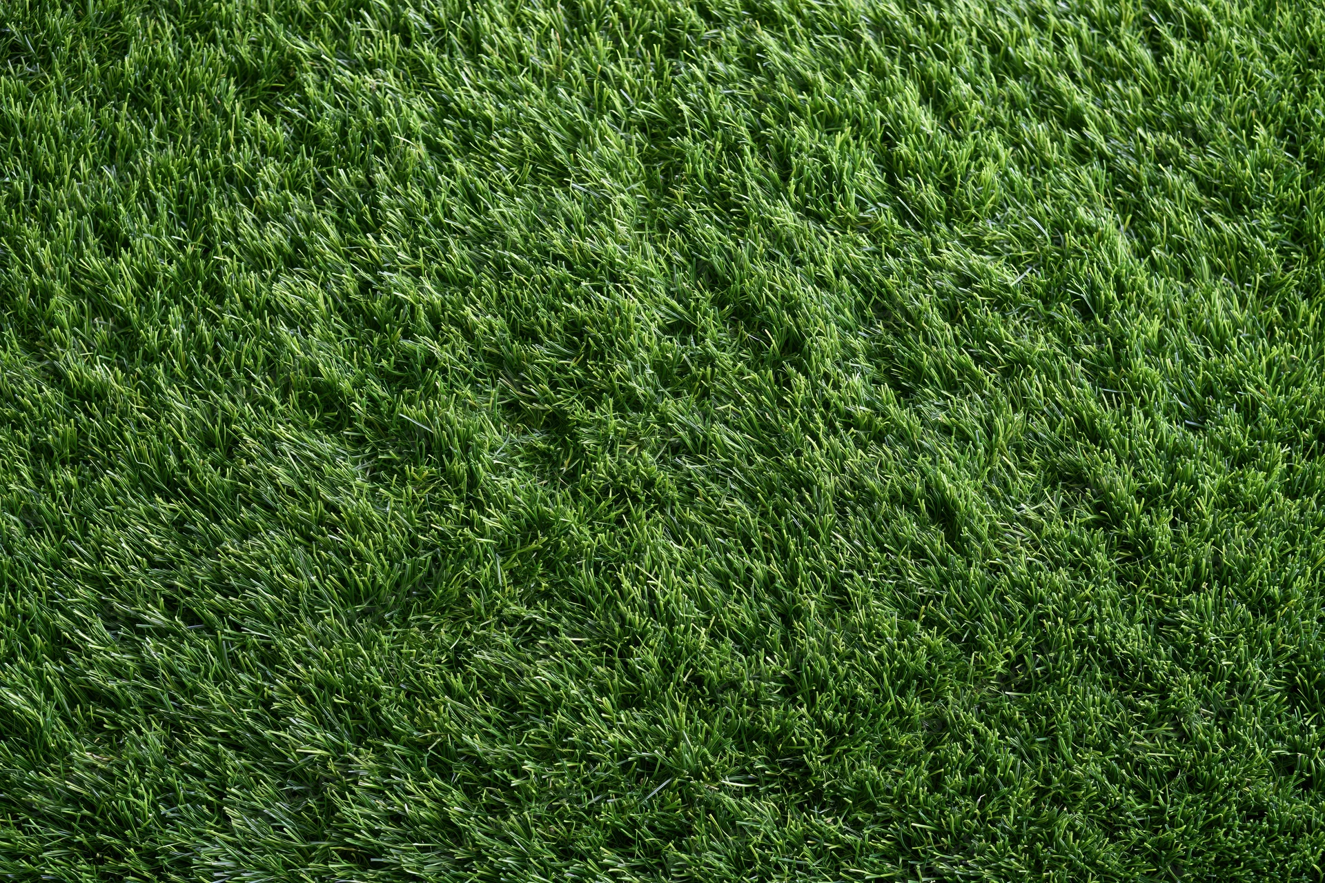 Dense artificial turf surface viewed from overhead in a flat lay arrangement