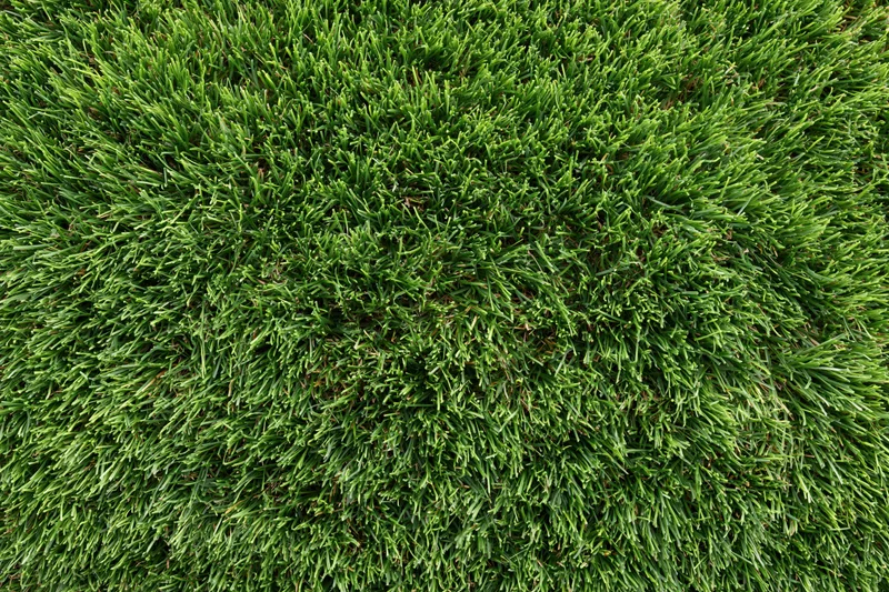 Dense short-cut green grass viewed from directly above in a flat lay arrangement