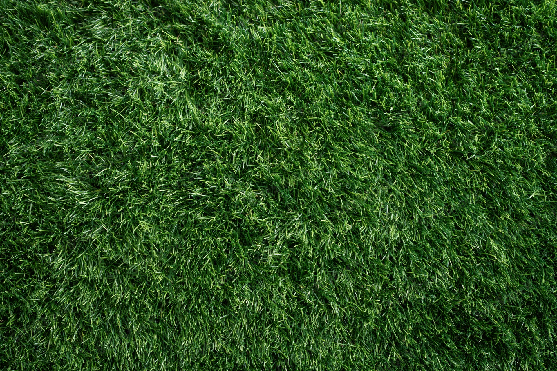 Dense short-cut green grass viewed from overhead in a flat lay arrangement
