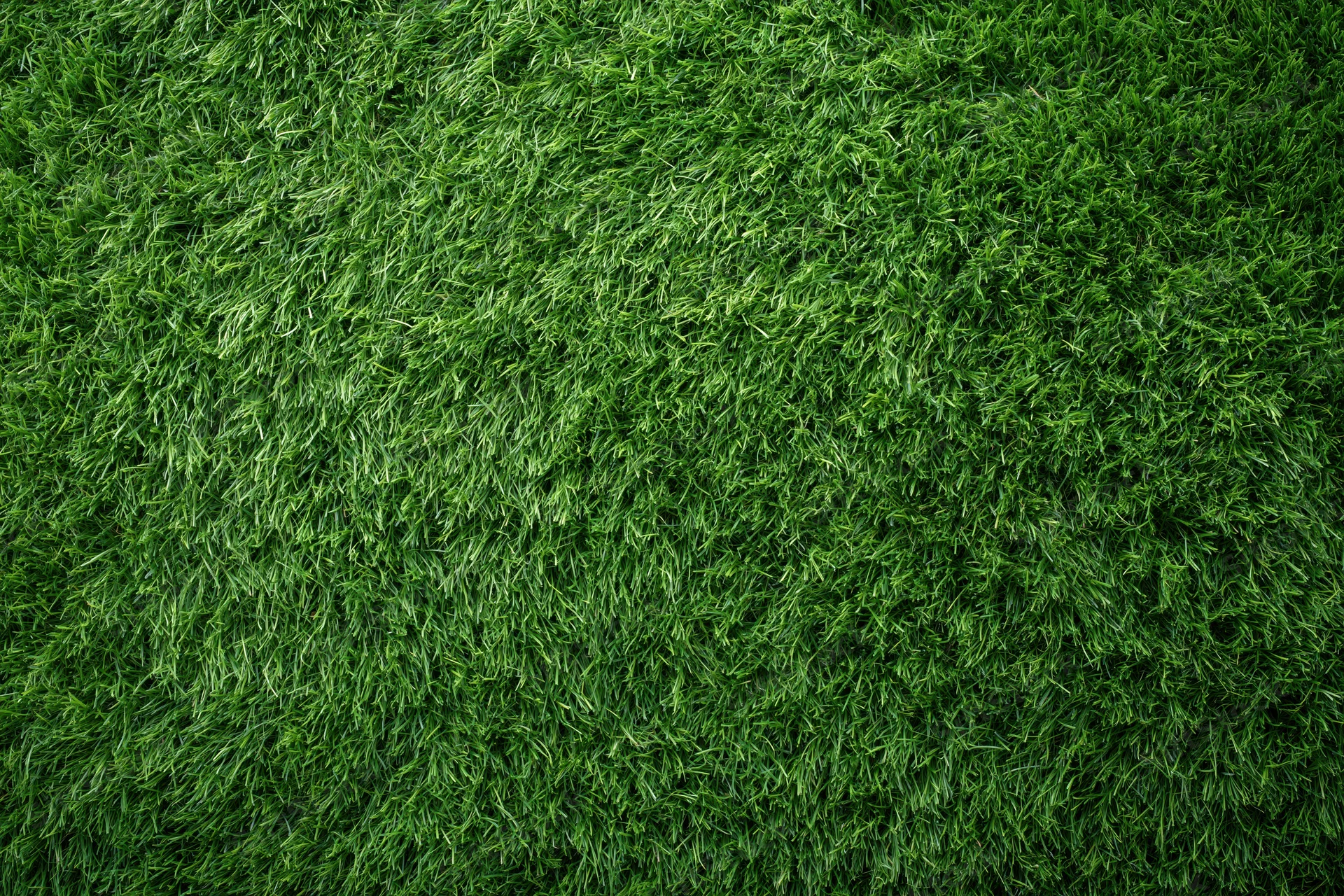 Dense short-cut green grass viewed from overhead in a flat lay arrangement