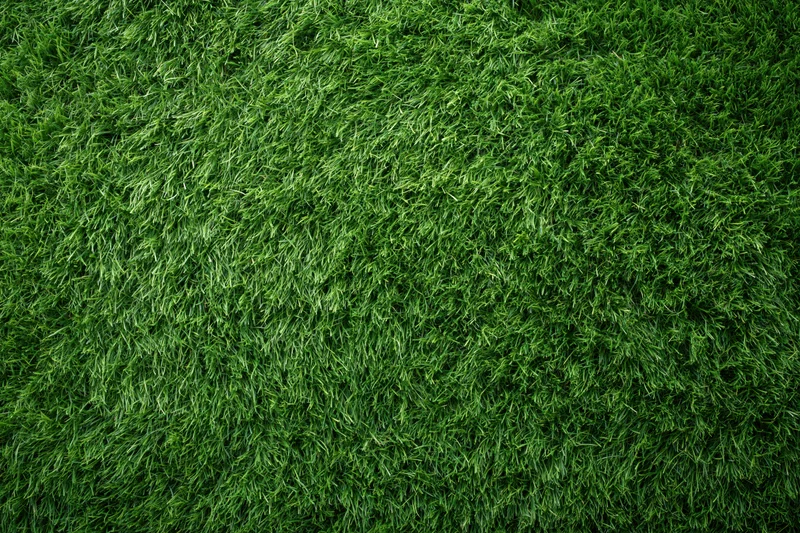 Dense short-cut green grass viewed from overhead in a flat lay arrangement