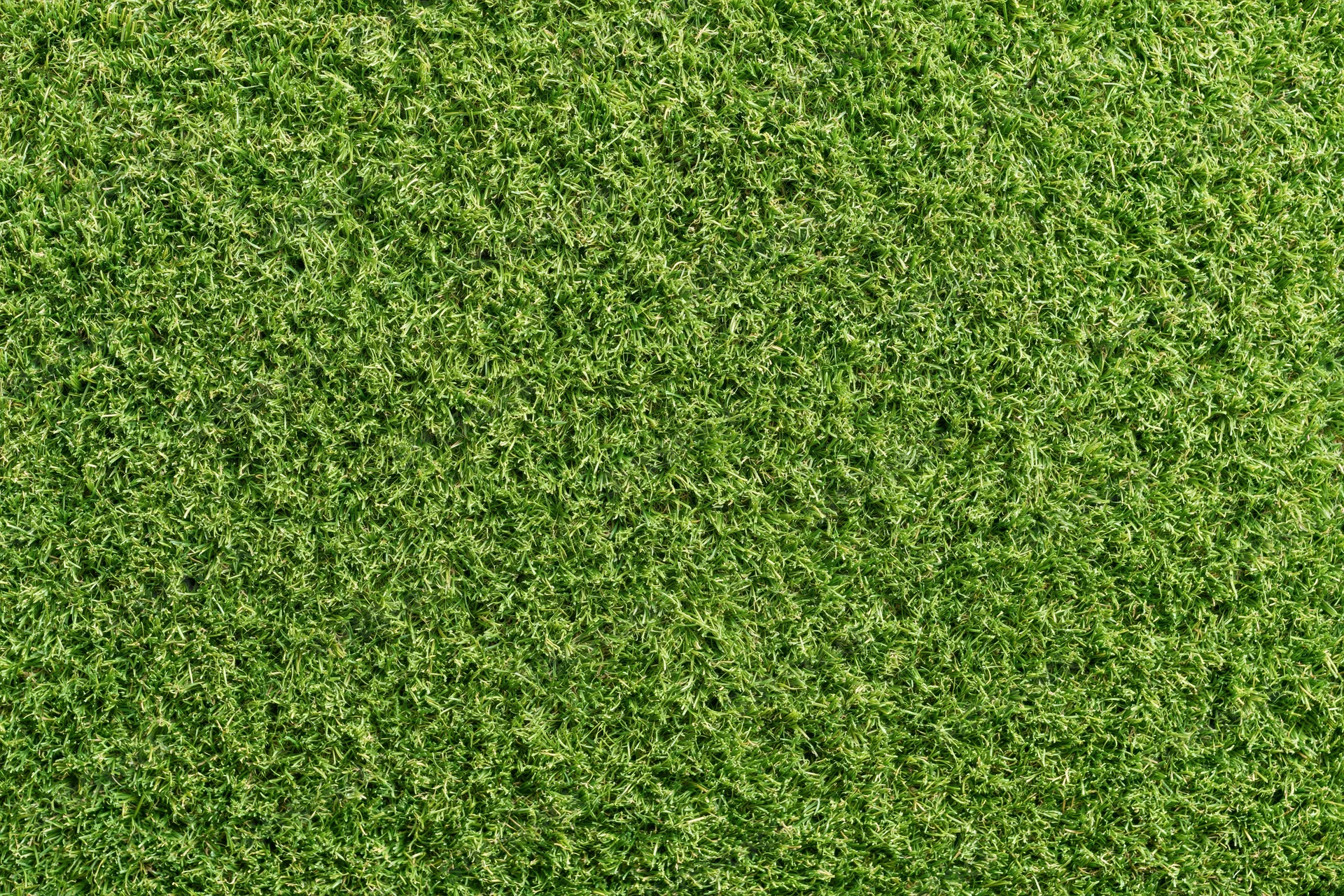 Close-up overhead view of dense artificial turf surface