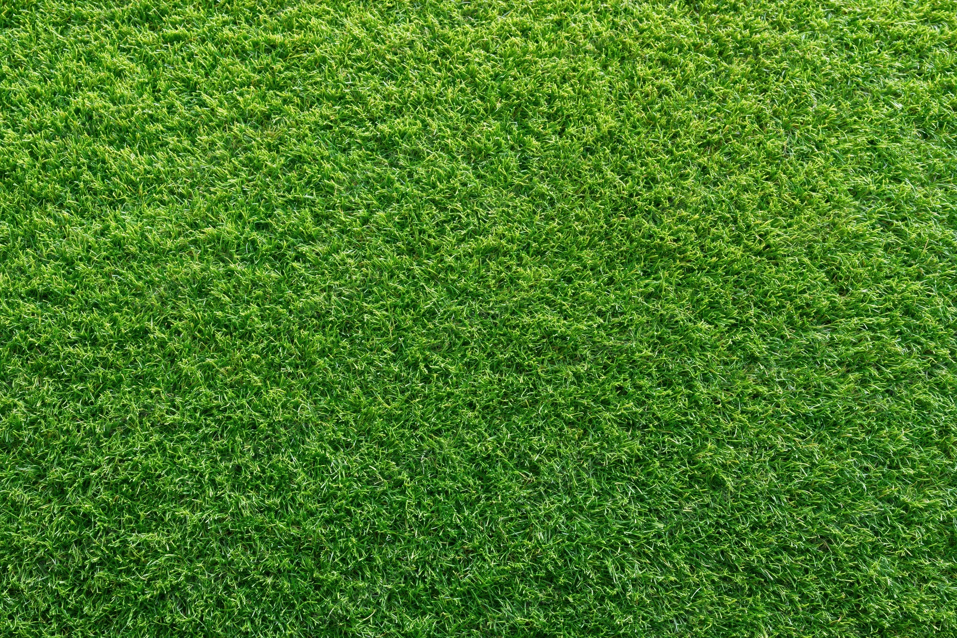 Close-up overhead view of densely trimmed artificial turf surface