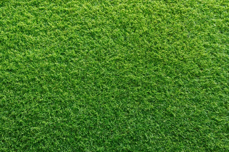 Close-up overhead view of densely trimmed artificial turf surface