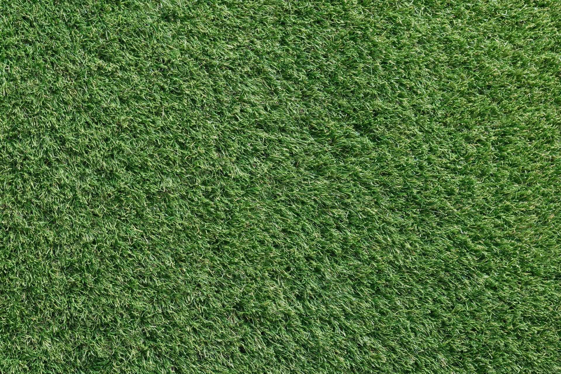 Close-up overhead view of densely trimmed artificial turf surface