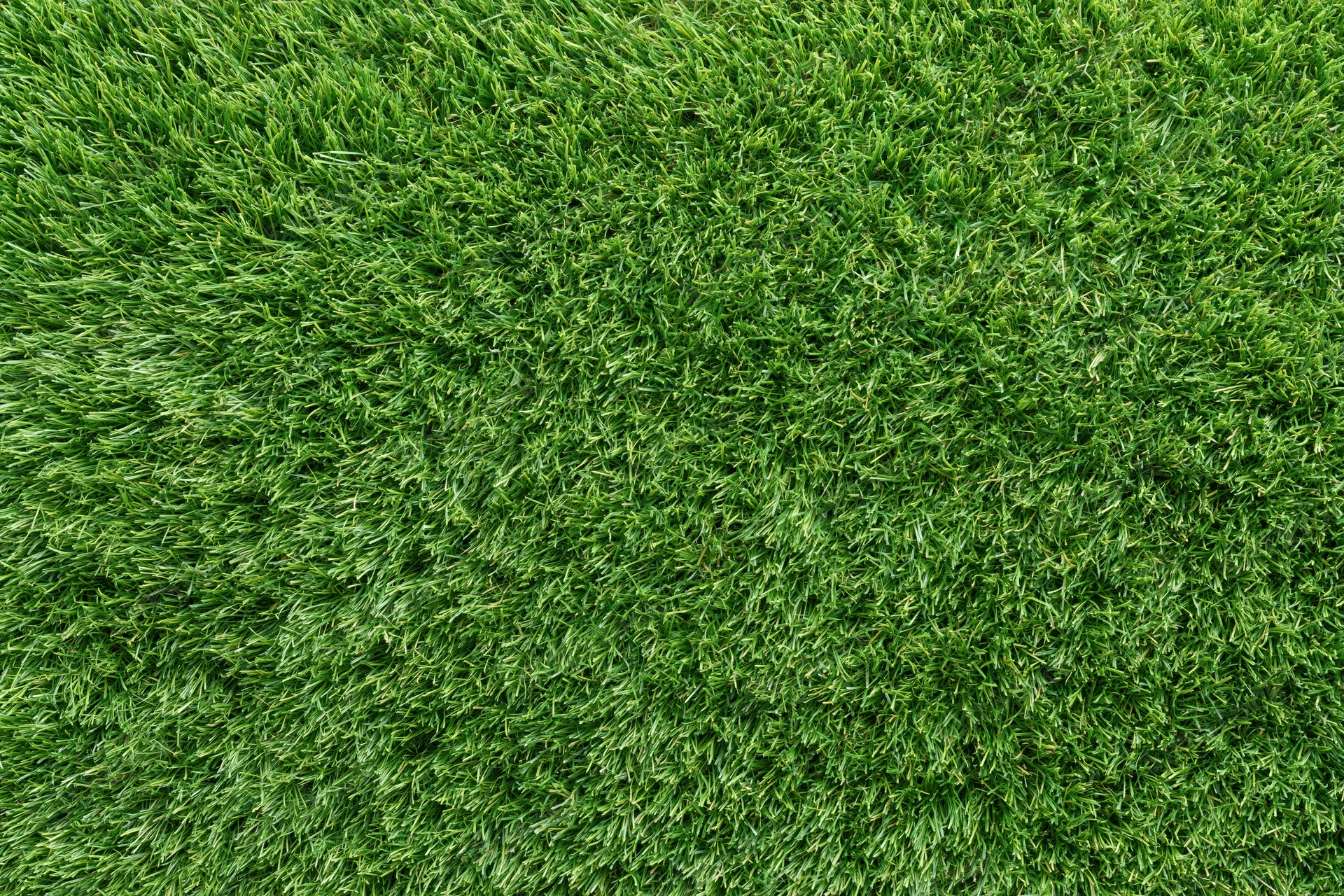Close-up overhead view of densely trimmed artificial turf surface