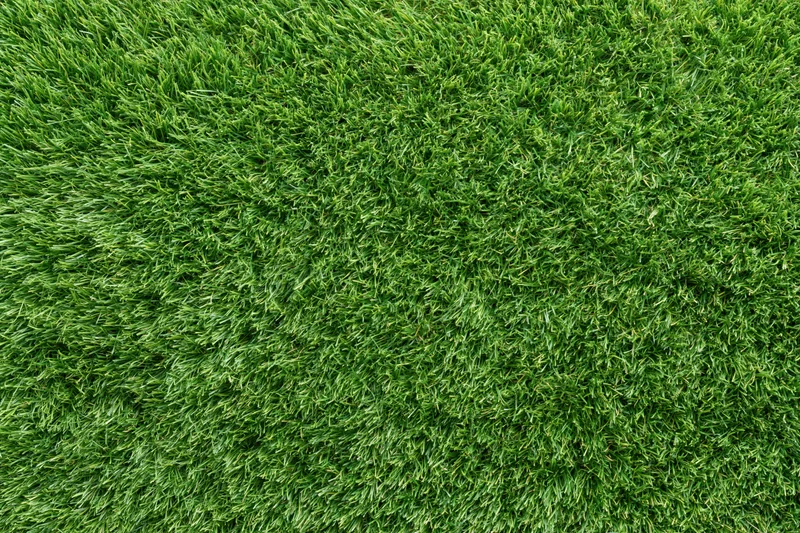 Close-up overhead view of densely trimmed artificial turf surface