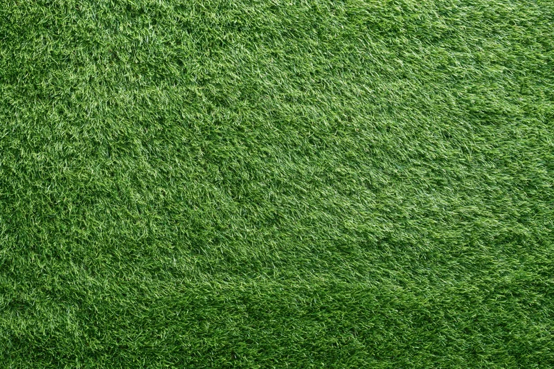 Close-up overhead view of uniformly trimmed artificial turf surface
