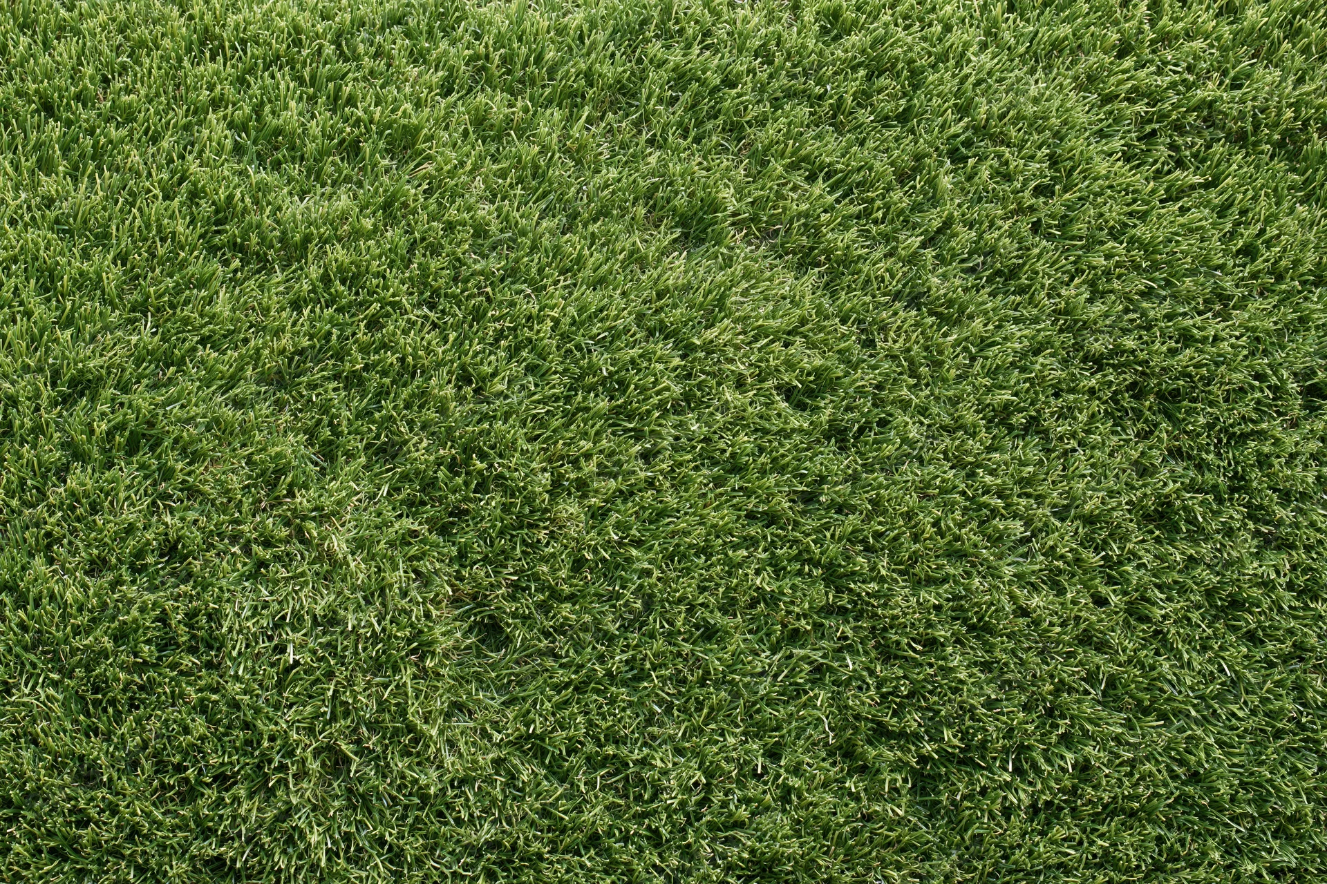Close-up overhead view of uniformly trimmed artificial turf covering a flat surface