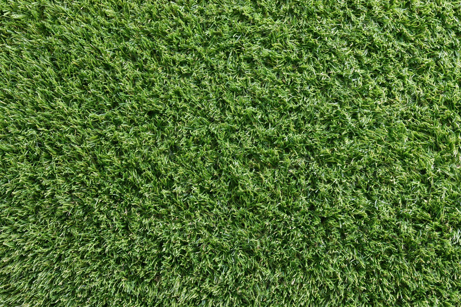 Close-up overhead view of uniformly trimmed artificial turf surface