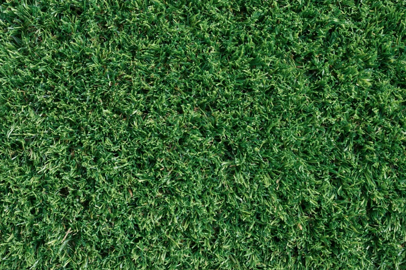 Close-up overhead view of uniformly trimmed short green grass covering the ground