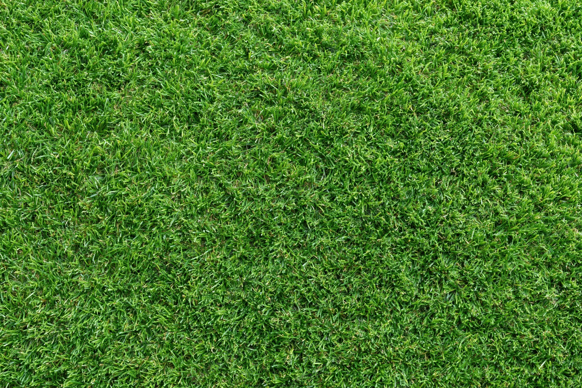 Close-up overhead view of uniformly trimmed short green grass covering the ground