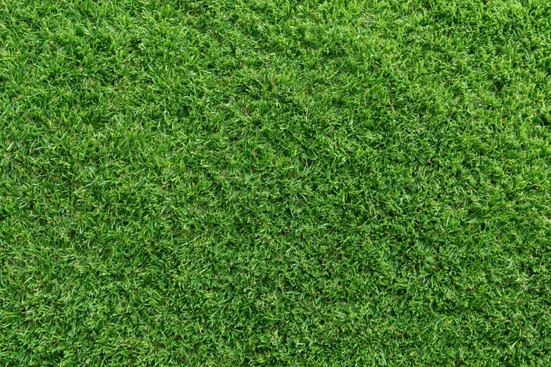 Close-up overhead view of uniformly trimmed short green grass covering the ground