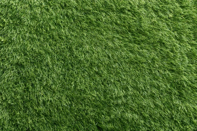 Close-up overhead view of uniformly trimmed short green grass lawn