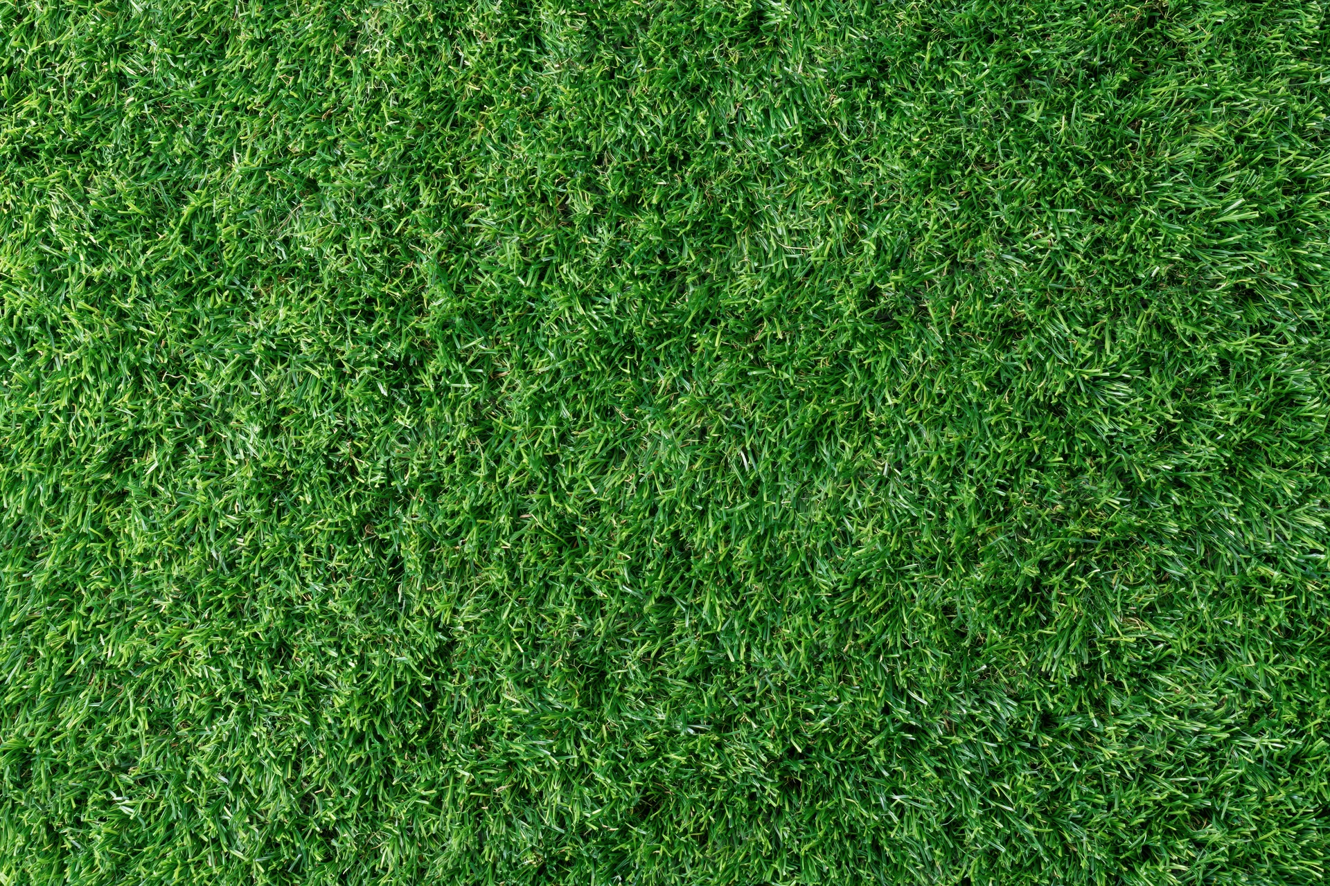Close-up overhead view of uniformly trimmed short green grass lawn