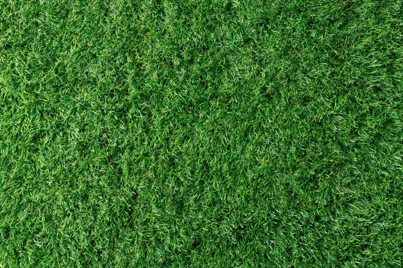 Close-up overhead view of uniformly trimmed short green grass lawn