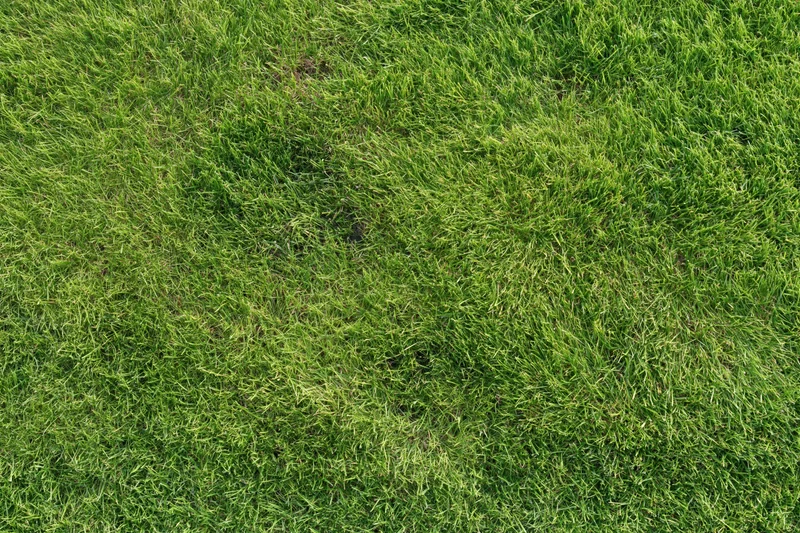 Freshly mowed grass lawn viewed from above filling the frame