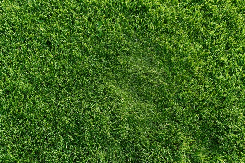 Freshly mowed grass lawn viewed from above filling the frame
