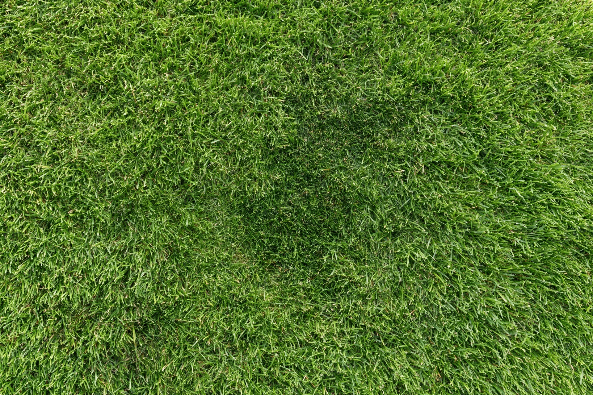 Freshly mowed grass lawn viewed from above filling the frame