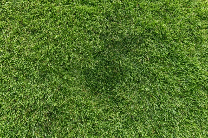 Freshly mowed grass lawn viewed from above filling the frame