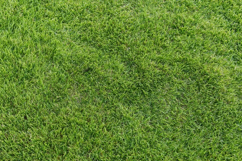 Freshly mowed grass lawn viewed from above filling the frame