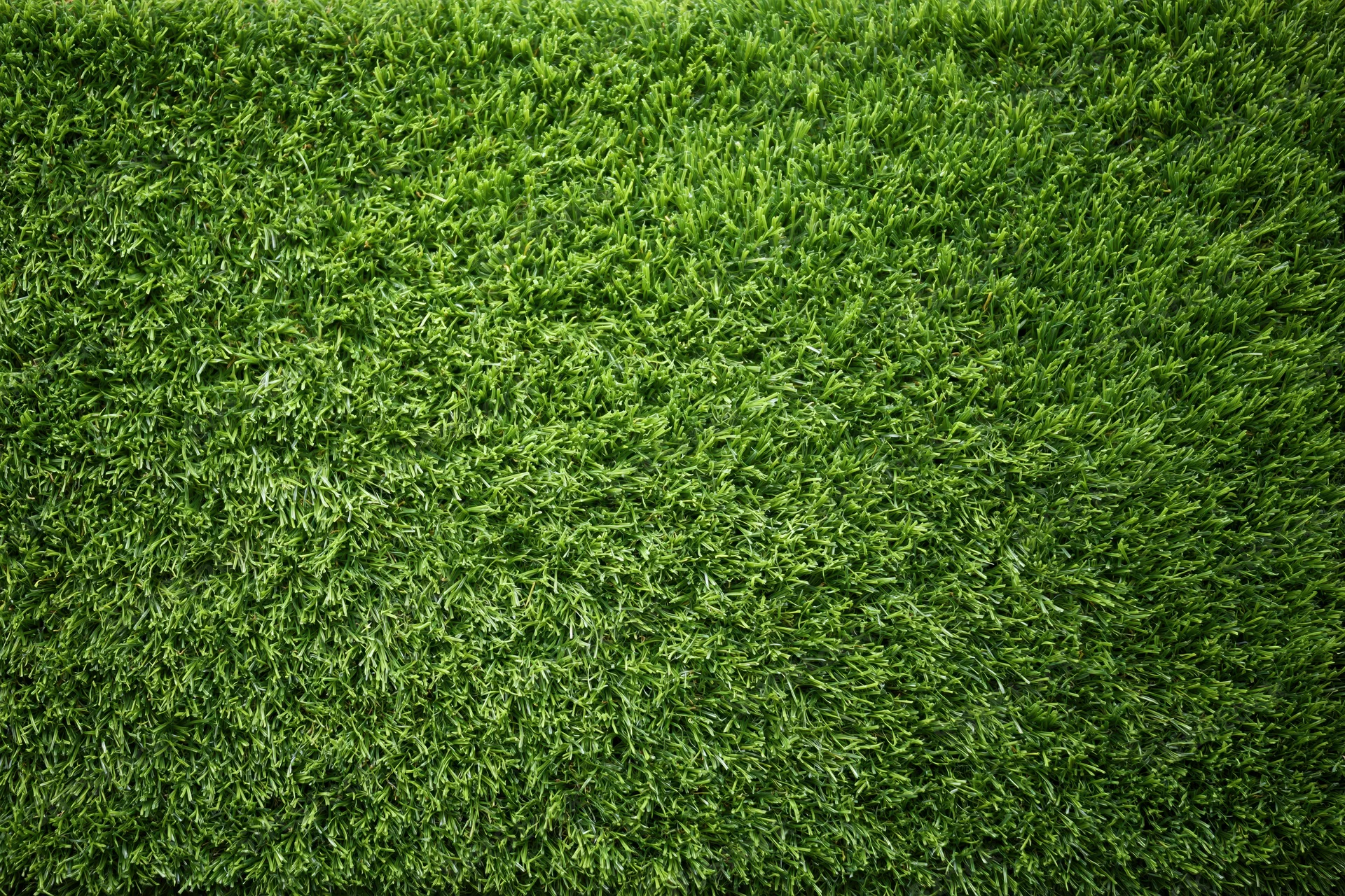 Artificial turf surface filling the frame in overhead closeup view