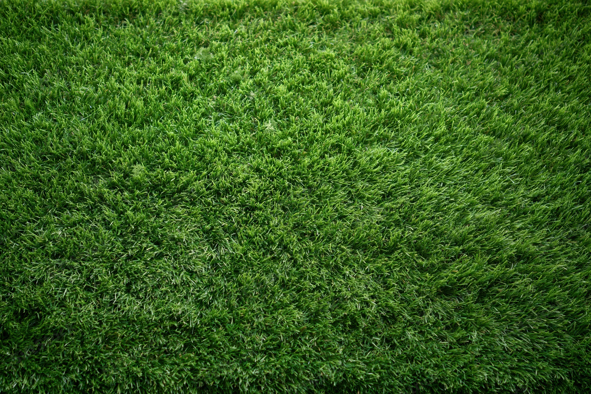Artificial turf surface viewed from directly above filling the frame