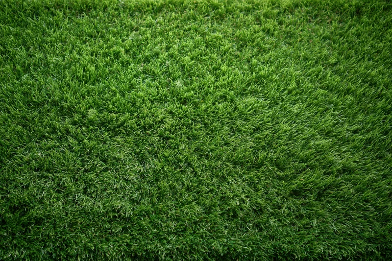 Artificial turf surface viewed from directly above filling the frame